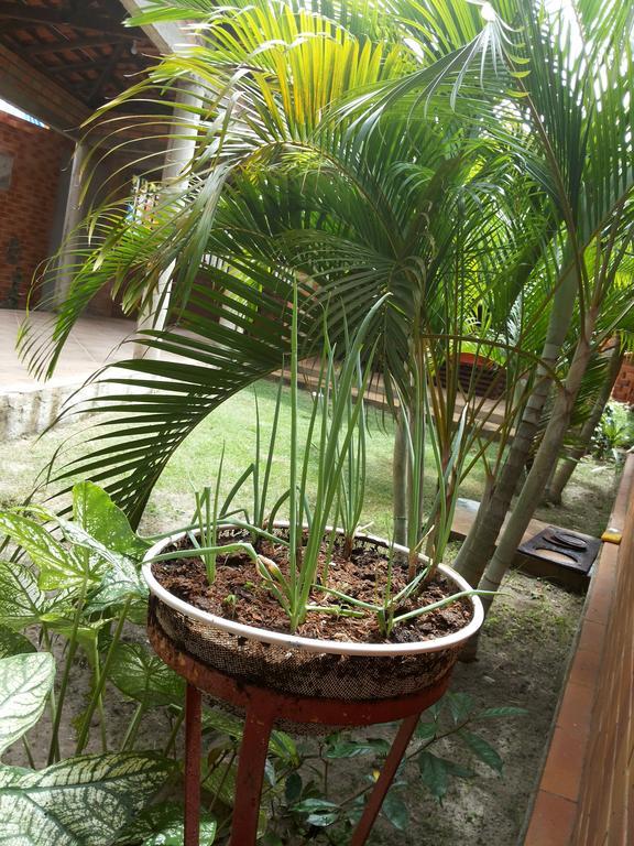 Toca Do Vaidoso Hotel Barreirinhas Eksteriør billede